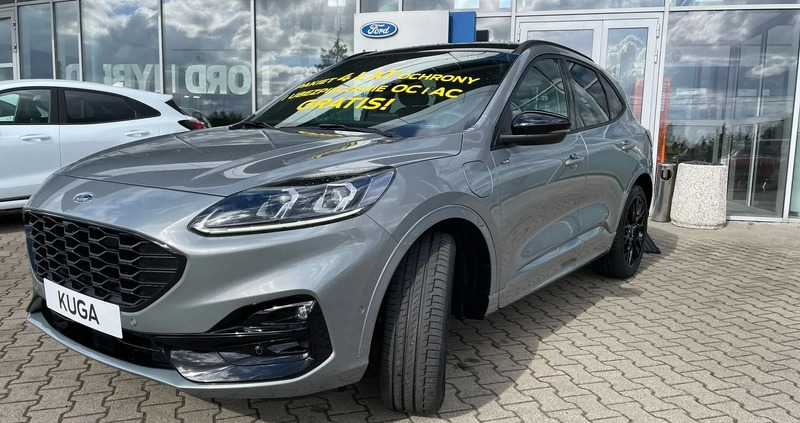 Ford Kuga cena 195000 przebieg: 1, rok produkcji 2023 z Tarnogród małe 436